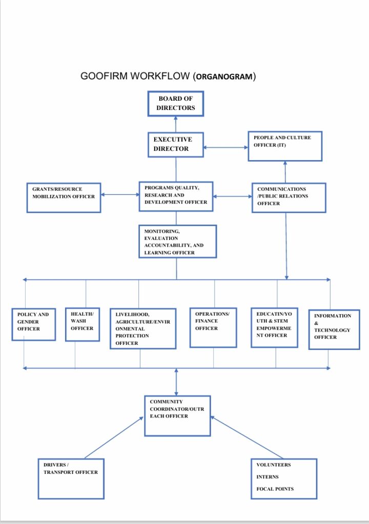 GOOFIRM WORKFLOW (ORGANOGRAM)